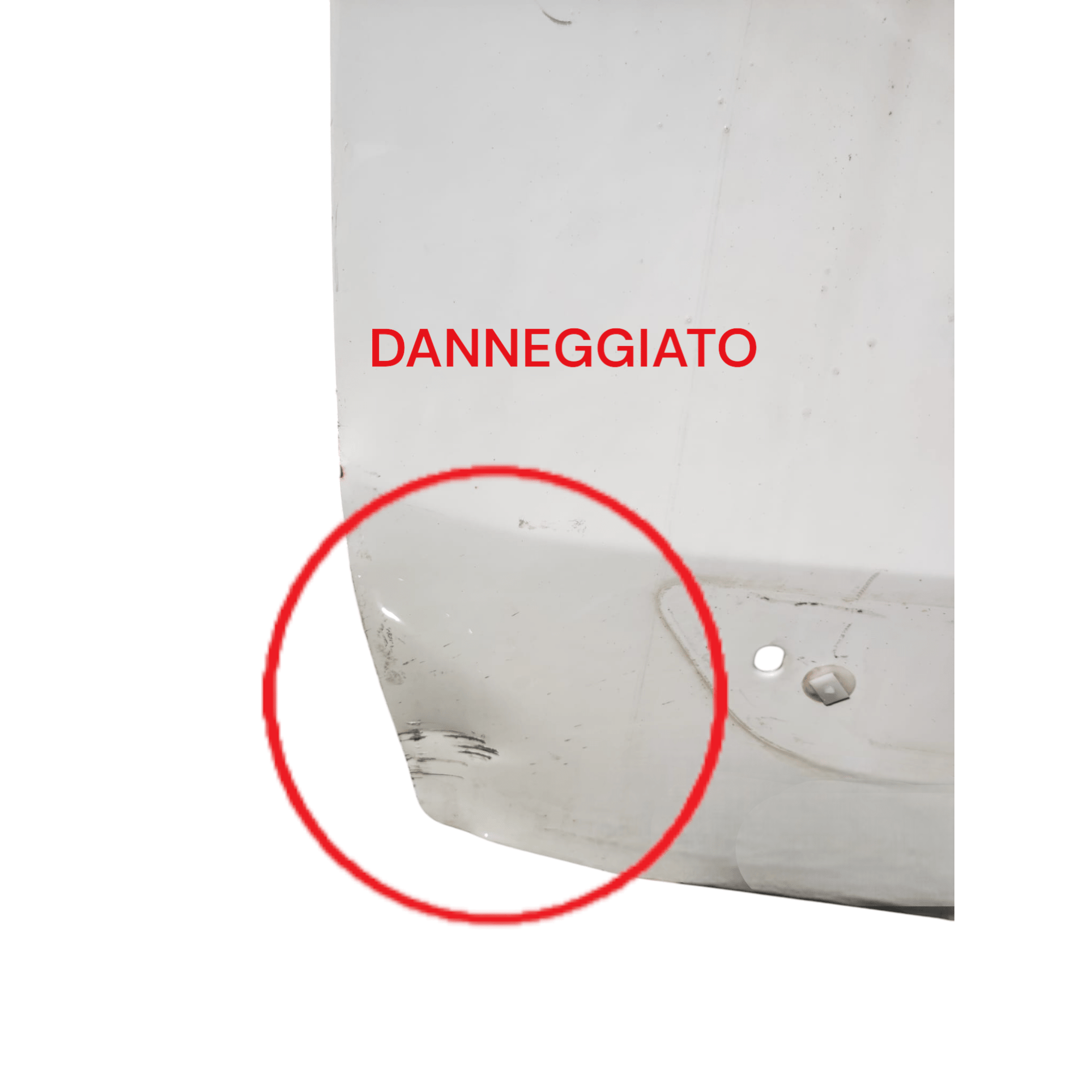 Portiera Anteriore Sinistra Bianca Fiat Qubo (2008 - 2019) - F&P CRASH SRLS - Ricambi Usati