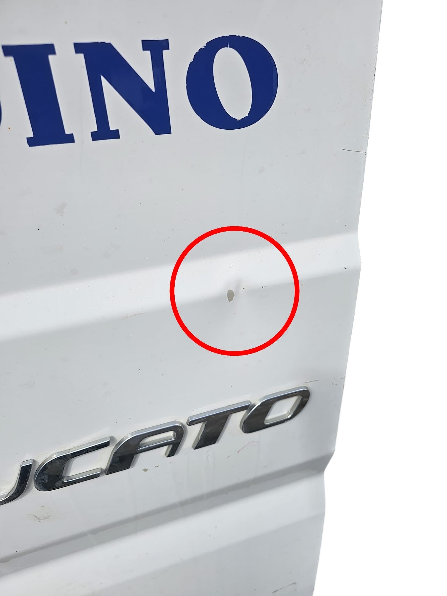 Portiera / Porta / Sportello Posteriore Destro Fiat Ducato III (2006 - 2014) - F&P CRASH SRLS - Ricambi Usati