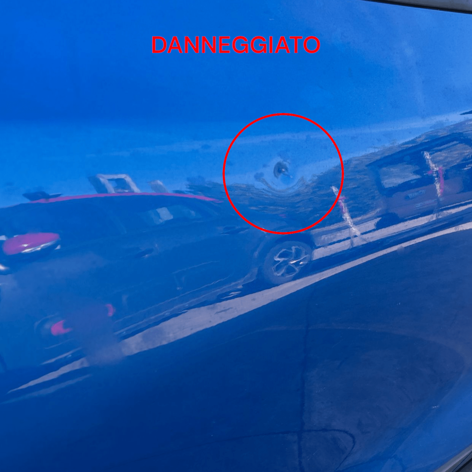 Right Rear Door Blue Ford Focus Active (2018 >) Door / Hatch - F&P CRASH SRLS - Used Parts