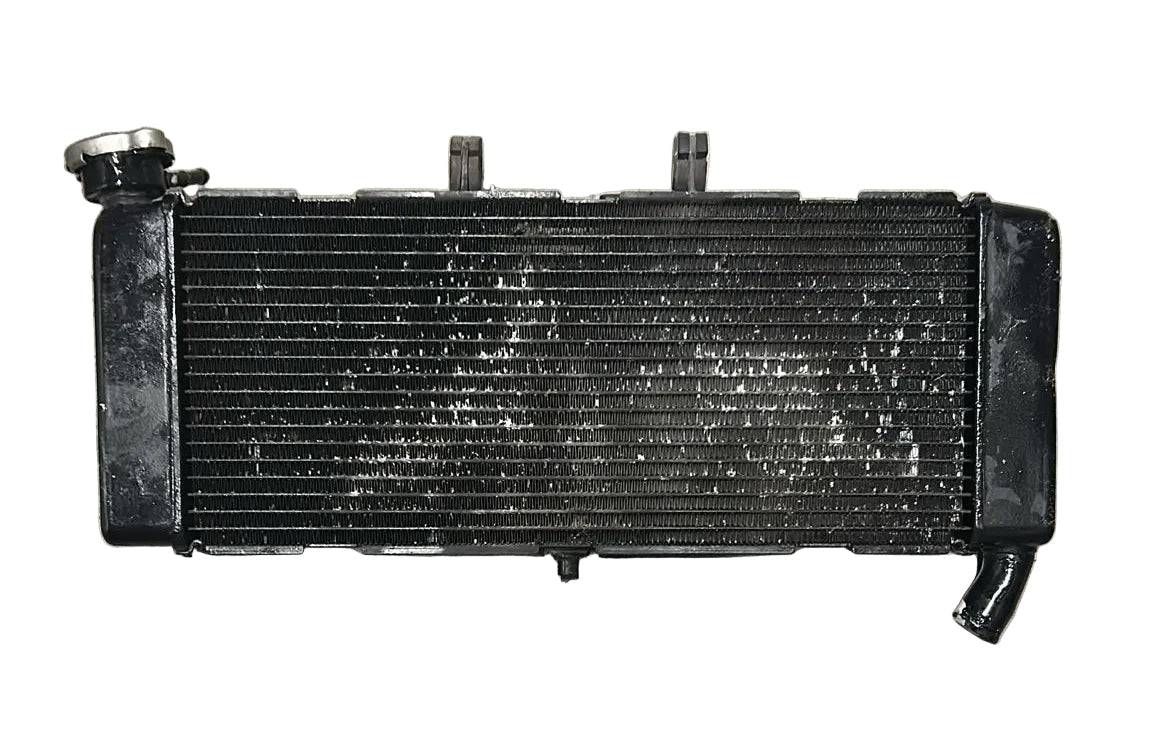 Radiatore liquido refrigerante honda xadv 750 (2018 > 2020) - F&P CRASH SRL - Ricambi Usati