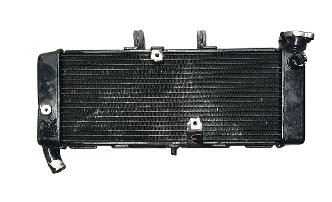 Radiatore liquido refrigerante honda xadv 750 (2018 > 2020) - F&P CRASH SRL - Ricambi Usati