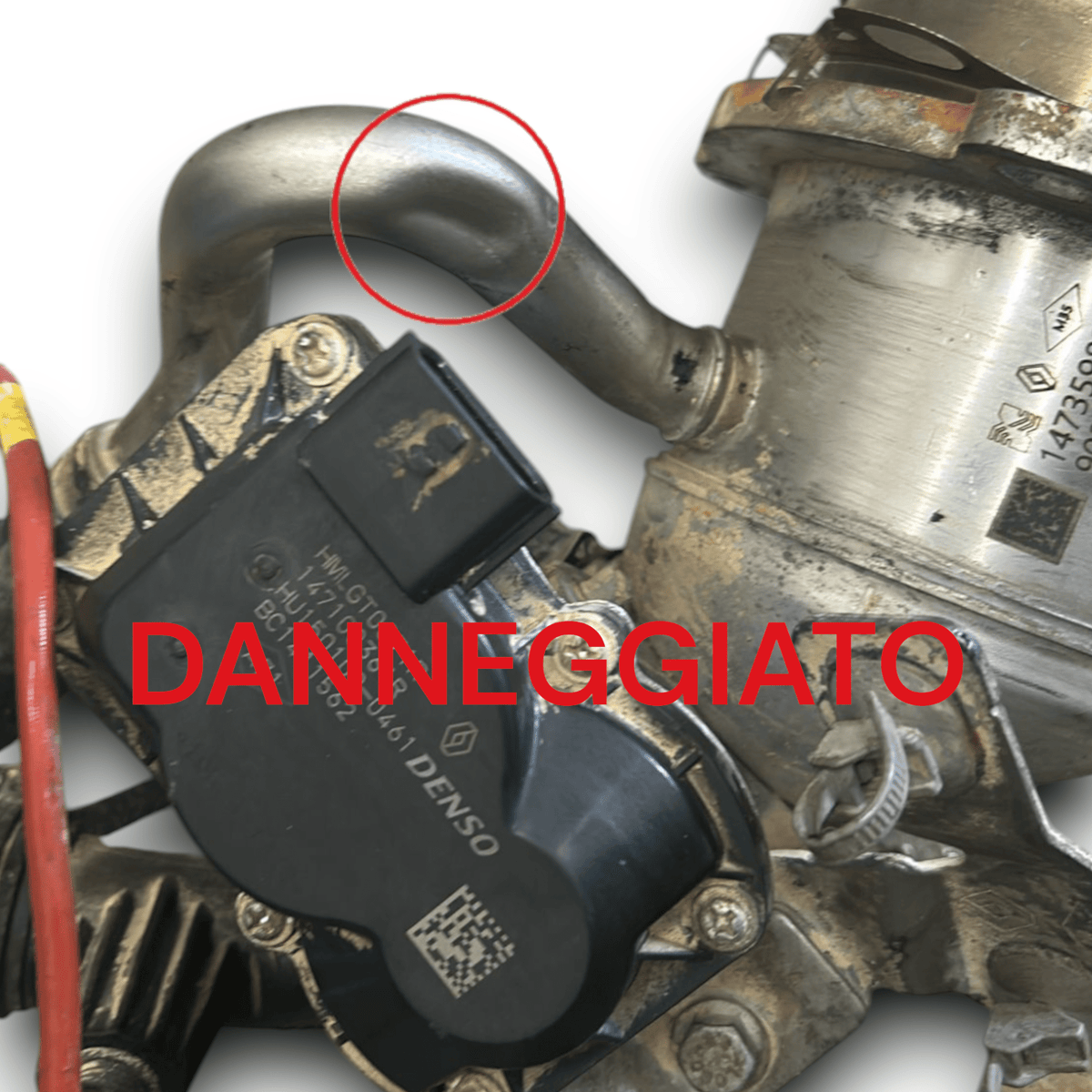 Radiator / EGR Valve Exhaust Gas Renault Clio V 1.5 Diesel cod:147359823R (2019 >) - F&P CRASH SRLS - Used Parts