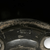 Ruota di Scorta Fiat Bravo II (2007 al 2014) (125 / 90 / R15) cod: 1010415 - F&P CRASH SRLS - Ricambi Usati