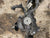 Scatola sterzo audi a3 8p - F&P CRASH SRLS - Ricambi Usati