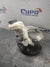 Servofreno Opel Corsa D ( 2006 ) cod 55701940 ab - F&P CRASH SRLS - Ricambi Usati