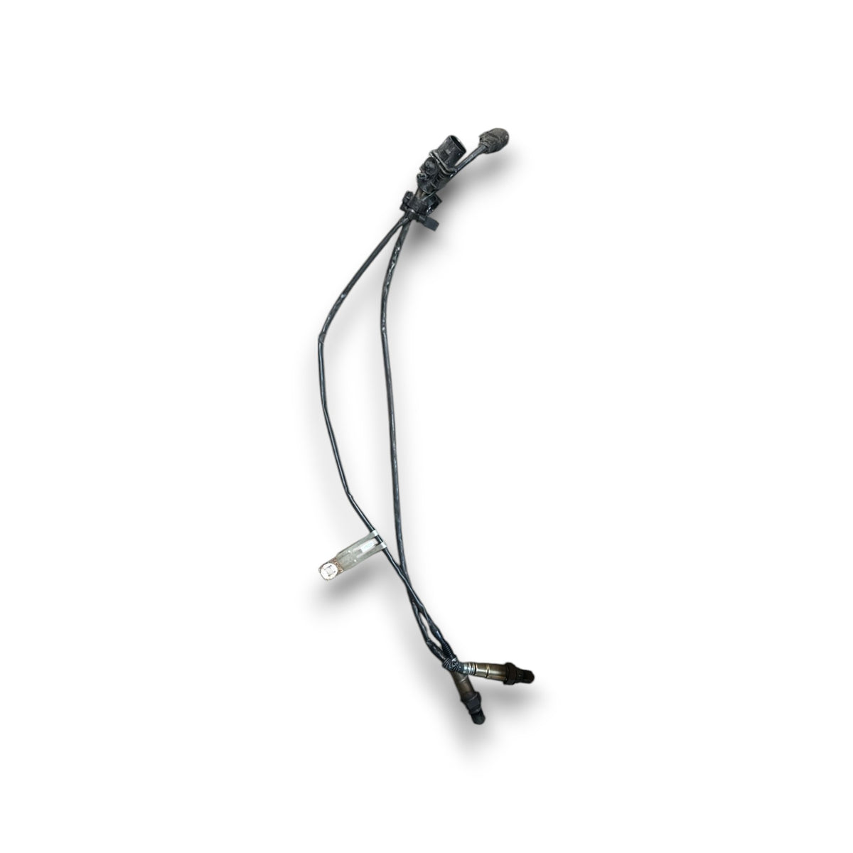 Sonde Lambda Ford B - Max cod.BV6A - 9Y460 - AA cod.CV6A - 9G444 - AA 1.0 Benzina (2012 > 2018) - F&P CRASH SRLS - Ricambi Usati