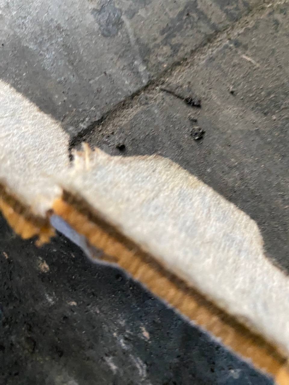 Sottotetto Peugeot 3008 - F&P CRASH SRLS - Ricambi Usati