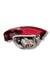 Stop / Fanale Luce Posteriore Sinistro alogeno Seat Ibiza cod.6J4945257A ( 2008 - 2016 ) - F&P CRASH SRLS - Ricambi Usati