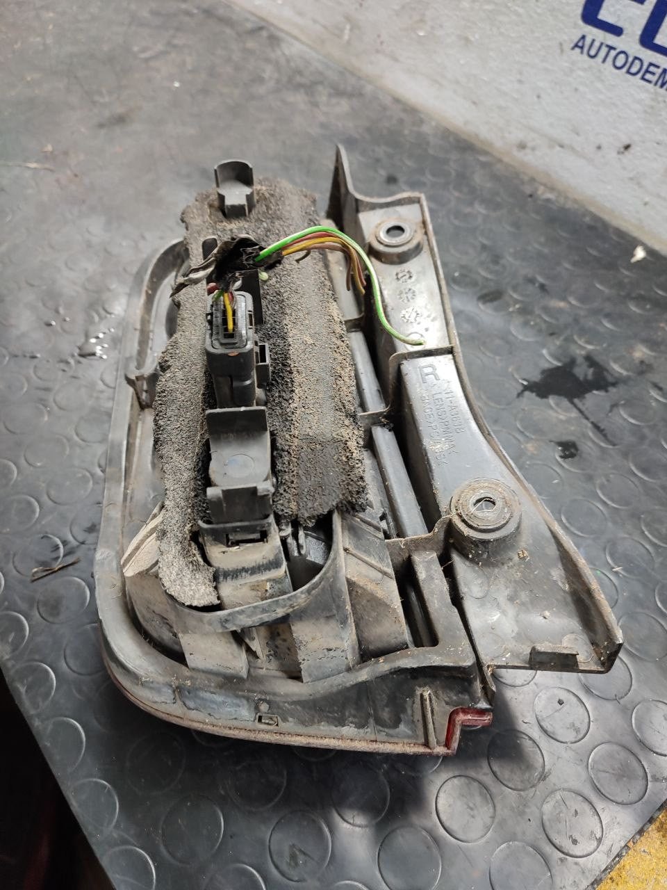 Stop posteriore destro Nissan Micra ( k12 - 2004 ) - F&P CRASH SRLS - Ricambi Usati