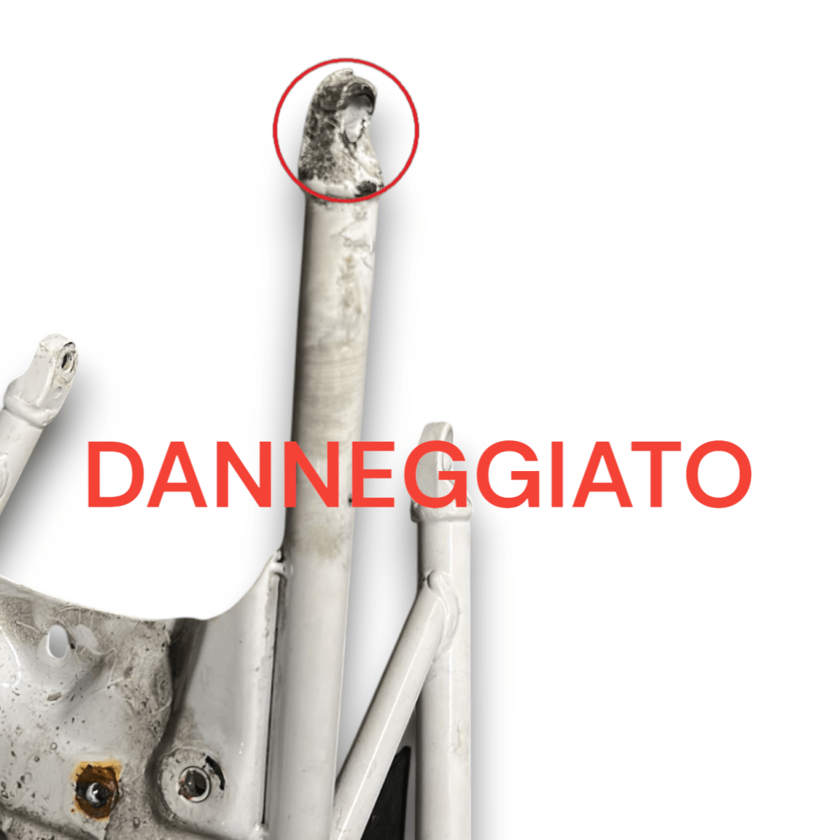 Telaietto posteriore ktm duke 125 (2018 > 2022) - F&P CRASH SRLS - Ricambi Usati