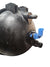 Vaschetta Liquido Refrigerante BMW X3 F25 Cod:1713782354405 (2010 - 2017) - F&P CRASH SRLS - Ricambi Usati