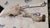 Vaschetta / Serbatoio acqua tergicristalli Renault Modus (2004 - 07) cod: 7701058023 - F&P CRASH SRLS - Ricambi Usati
