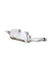 Vaschetta / Serbatoio Tergicristalli Fiat Sedici / Suzuki SX4 (2006 - 2009)cod.644500993 - F&P CRASH SRLS - Ricambi Usati